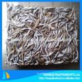 we mainly supply frozen sand lance with good quality